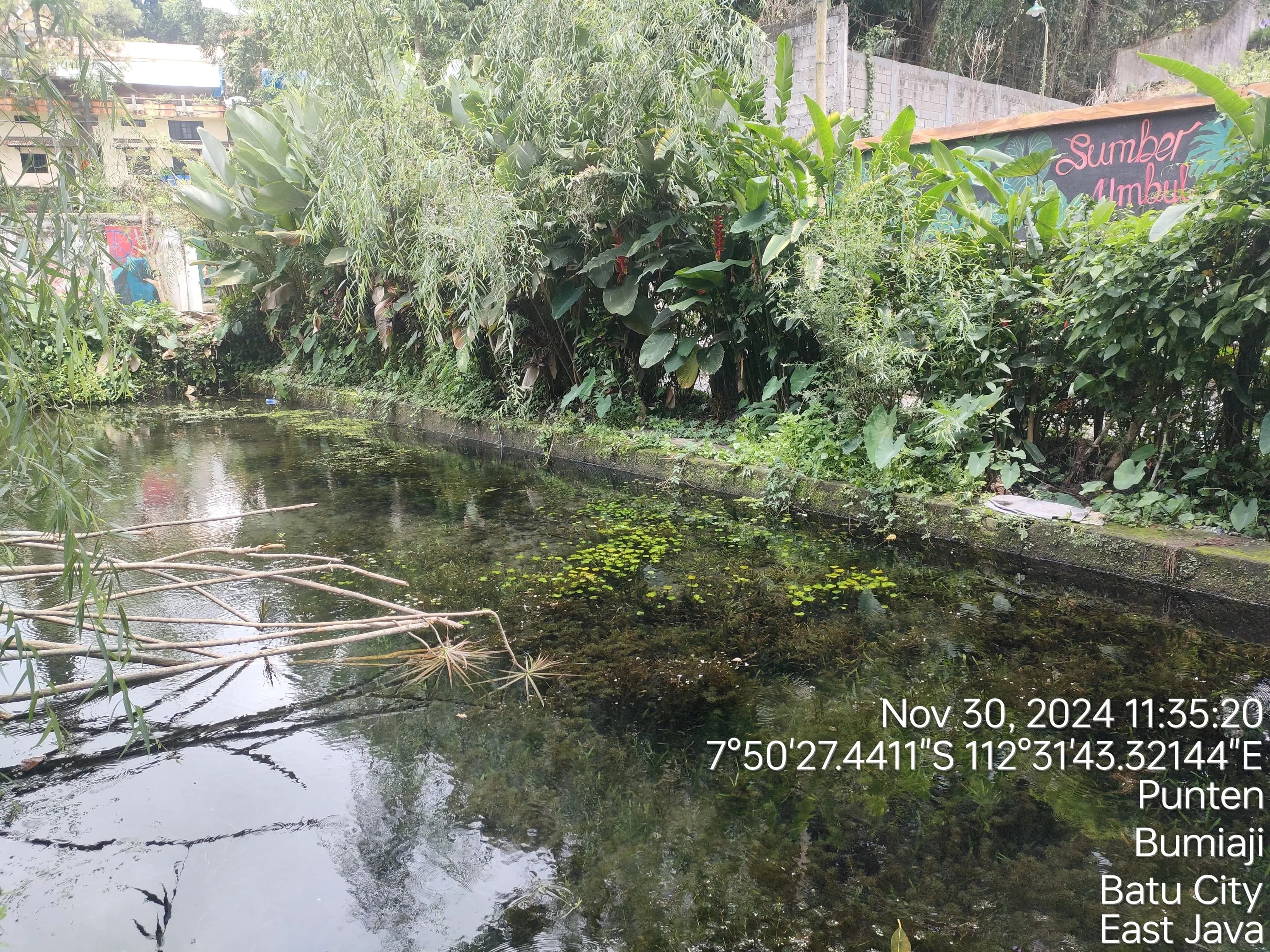 Seluang bali - Habitat